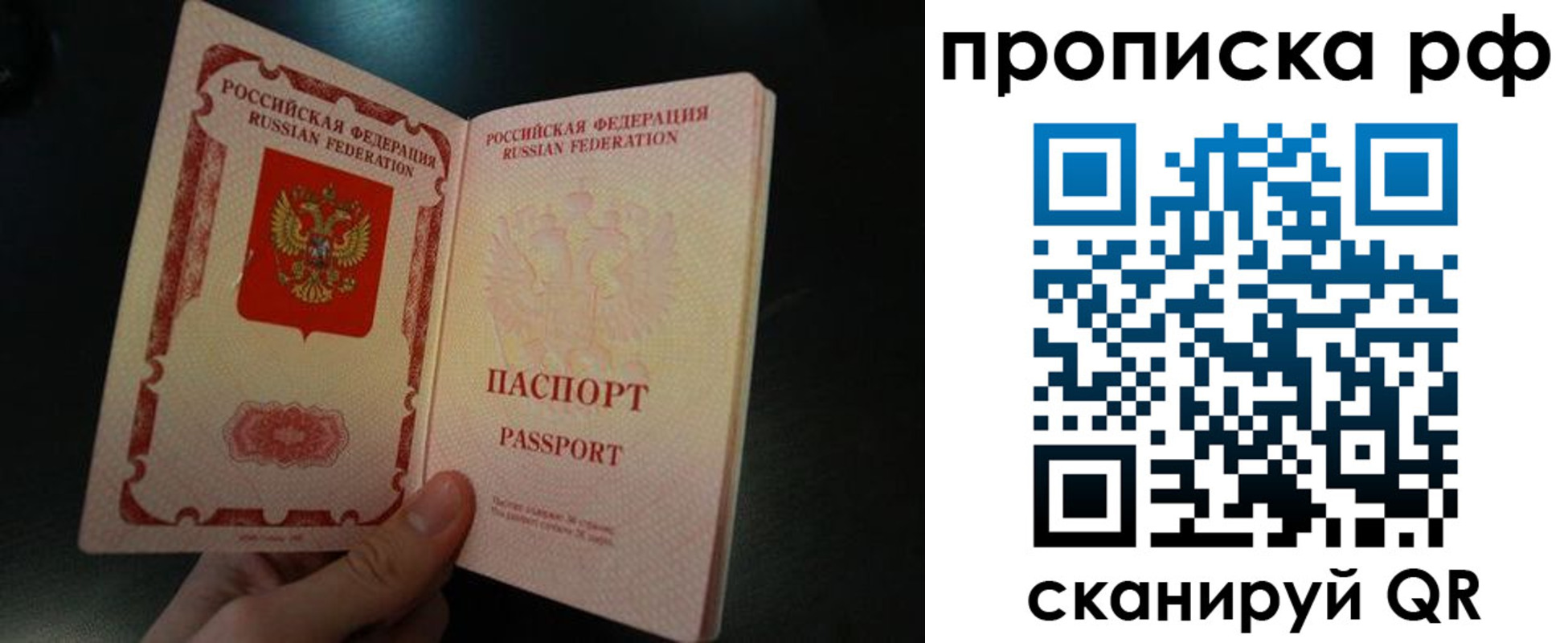 прописка законно в Железногорске